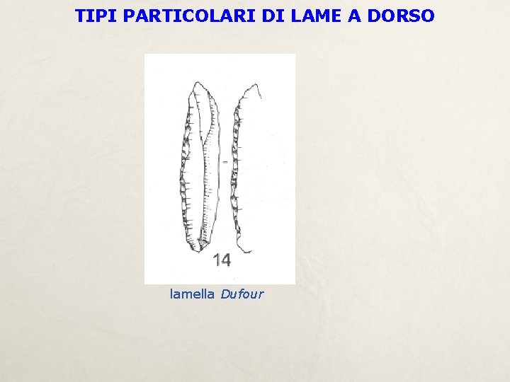 TIPI PARTICOLARI DI LAME A DORSO lamella Dufour 