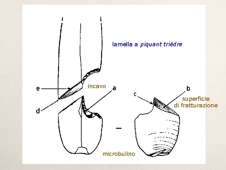 lamella a piquant trièdre incavo superficie di fratturazione microbulino 