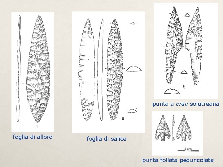 punta a cran solutreana foglia di alloro foglia di salice punta foliata peduncolata 