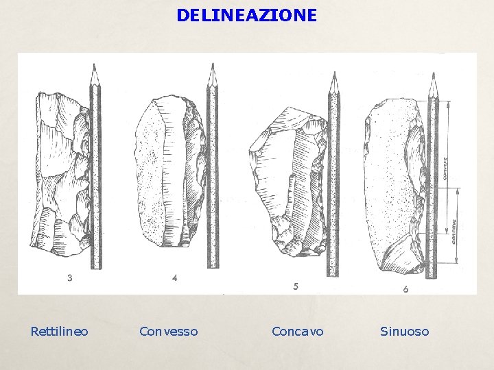 DELINEAZIONE Rettilineo Convesso Concavo Sinuoso 