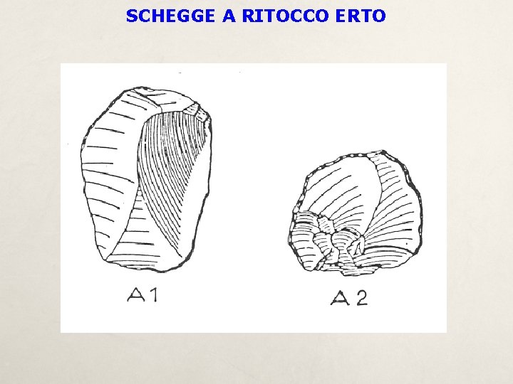 SCHEGGE A RITOCCO ERTO 