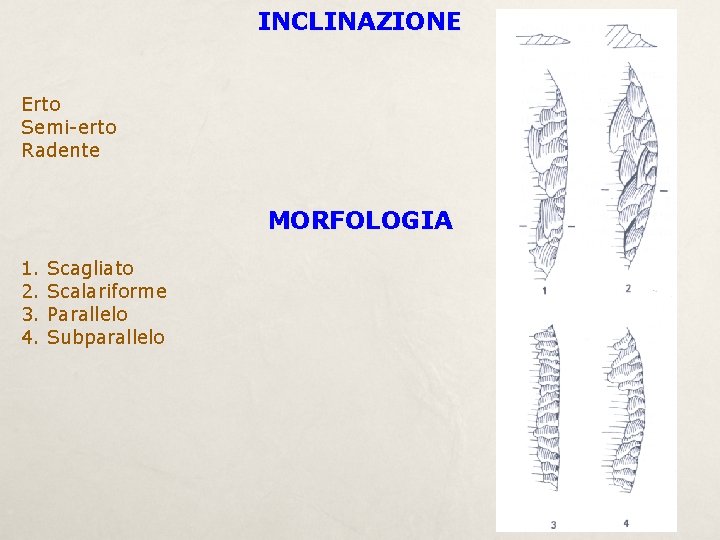 INCLINAZIONE Erto Semi-erto Radente MORFOLOGIA 1. 2. 3. 4. Scagliato Scalariforme Parallelo Subparallelo 