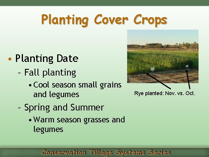 Planting Cover Crops • Planting Date – Fall planting • Cool season small grains