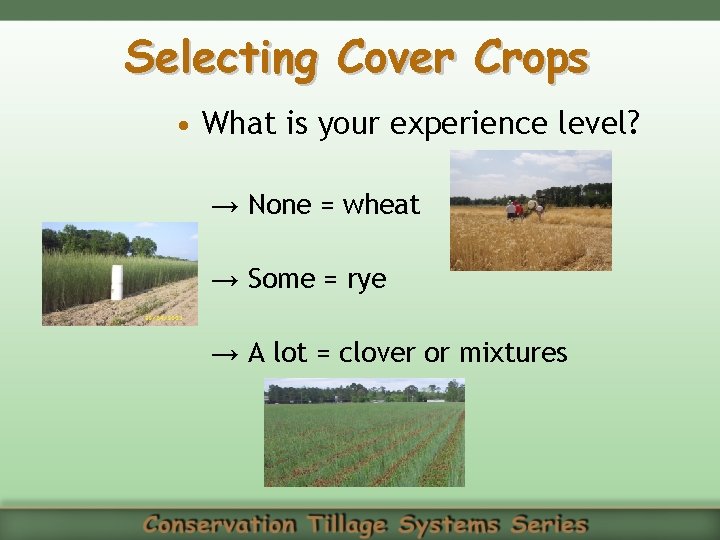 Selecting Cover Crops • What is your experience level? → None = wheat →