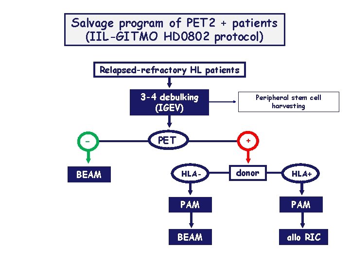 Salvage program of PET 2 + patients (IIL-GITMO HD 0802 protocol) Relapsed-refractory HL patients Salvage program of PET 2 + patients (IIL-GITMO HD 0802 protocol) Relapsed-refractory HL patients