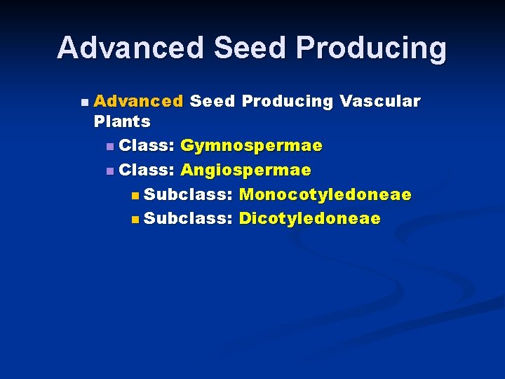 Advanced Seed Producing n Advanced Seed Producing Vascular Plants n Class: Gymnospermae n Class: Advanced Seed Producing n Advanced Seed Producing Vascular Plants n Class: Gymnospermae n Class: