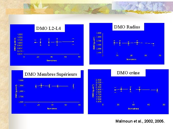 DMO L 2 -L 4 DMO Membres Supérieurs DMO Radius DMO crâne Maïmoun et