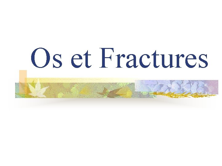 Os et Fractures 