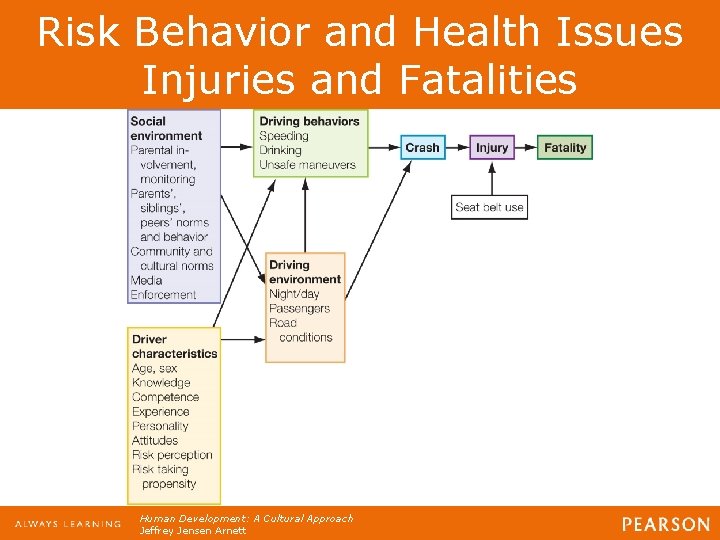 Risk Behavior and Health Issues Injuries and Fatalities Human Development: A Cultural Approach Jeffrey