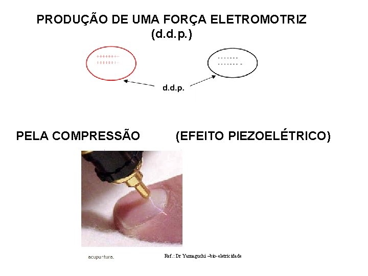 PRODUÇÃO DE UMA FORÇA ELETROMOTRIZ (d. d. p. ) PELA COMPRESSÃO (EFEITO PIEZOELÉTRICO) Ref.