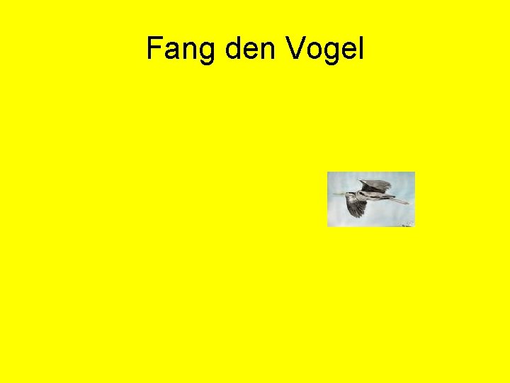 Fang den Vogel 