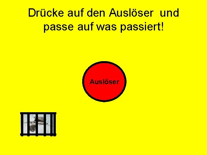 Drücke auf den Auslöser und passe auf was passiert! Auslöser 