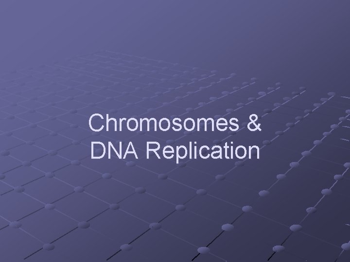 Chromosomes & DNA Replication Chromosomes & DNA Replication