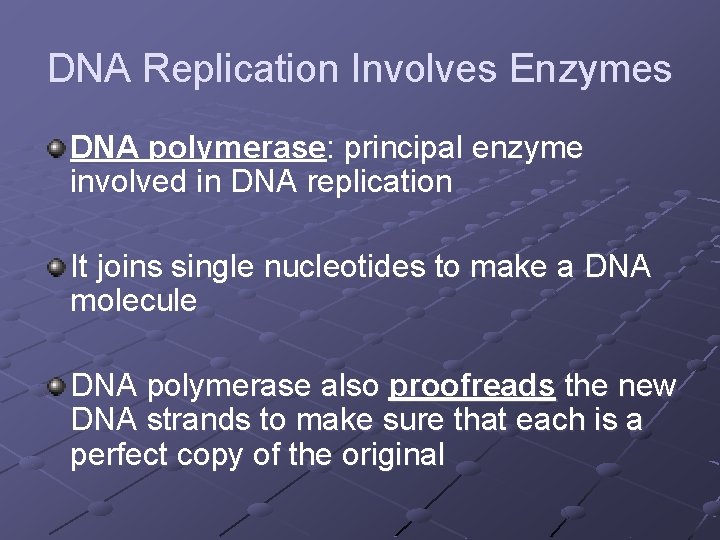 DNA Replication Involves Enzymes DNA polymerase: principal enzyme involved in DNA replication It joins DNA Replication Involves Enzymes DNA polymerase: principal enzyme involved in DNA replication It joins