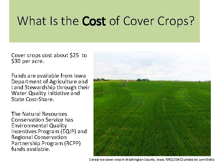What Is the Cost of Cover Crops? Cover crops cost about $25 to $30
