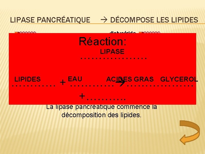 LIPASE PANCRÉATIQUE DÉCOMPOSE LES LIPIDES Réaction: LIPASE ……………… LIPIDES EAU ACIDES GRAS GLYCEROL …………