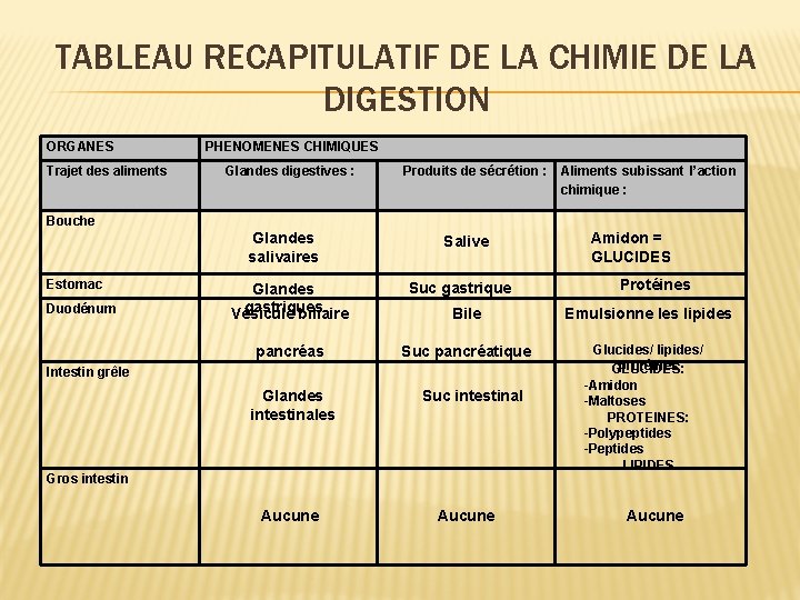 TABLEAU RECAPITULATIF DE LA CHIMIE DE LA DIGESTION ORGANES Trajet des aliments PHENOMENES CHIMIQUES
