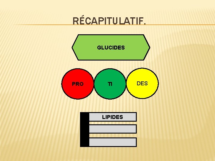 RÉCAPITULATIF. GLUCIDES PRO TI LIPIDES 