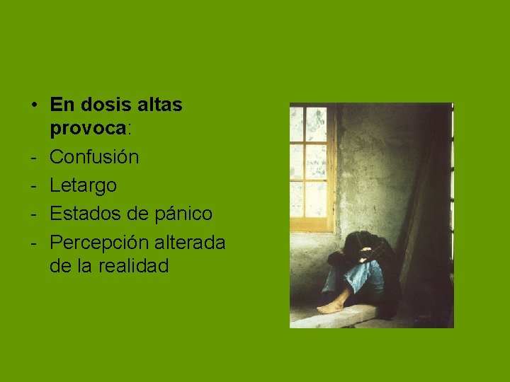 • En dosis altas provoca: - Confusión - Letargo - Estados de pánico • En dosis altas provoca: - Confusión - Letargo - Estados de pánico