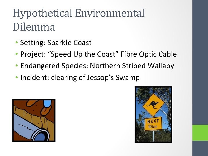 Hypothetical Environmental Dilemma • Setting: Sparkle Coast • Project: “Speed Up the Coast” Fibre