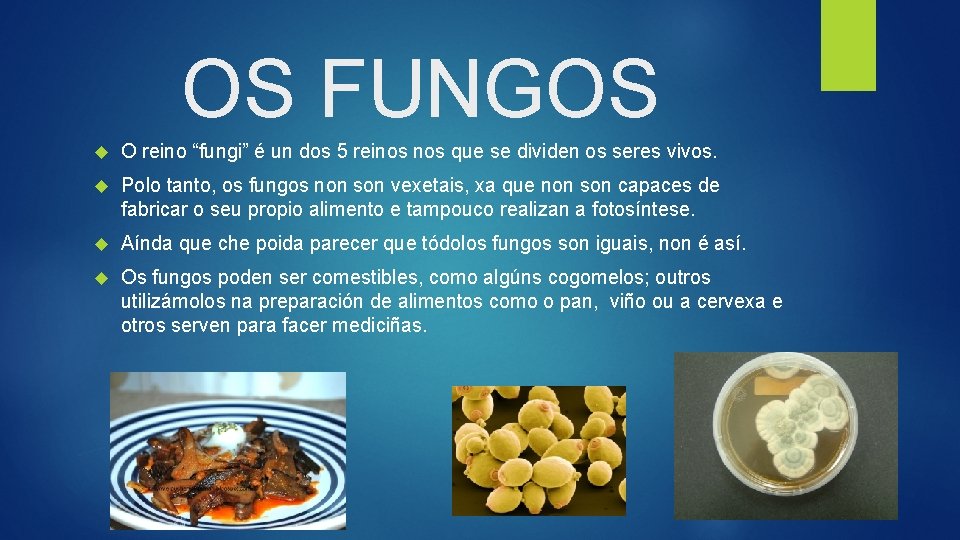 OS FUNGOS O reino “fungi” é un dos 5 reinos que se dividen os