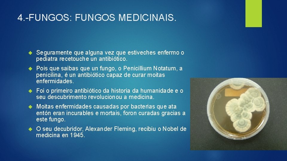 4. -FUNGOS: FUNGOS MEDICINAIS. Seguramente que alguna vez que estiveches enfermo o pediatra recetouche