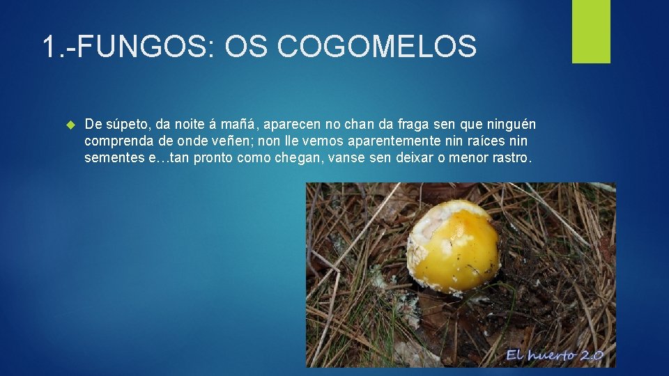 1. -FUNGOS: OS COGOMELOS De súpeto, da noite á mañá, aparecen no chan da
