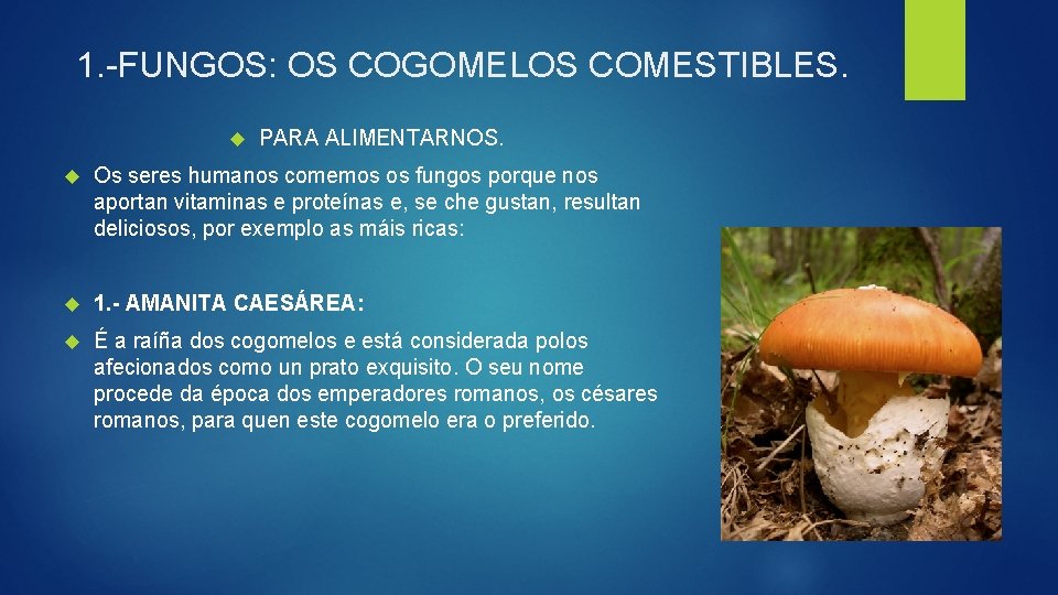 1. -FUNGOS: OS COGOMELOS COMESTIBLES. PARA ALIMENTARNOS. Os seres humanos comemos os fungos porque