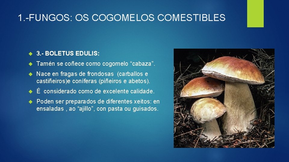 1. -FUNGOS: OS COGOMELOS COMESTIBLES 3. - BOLETUS EDULIS: Tamén se coñece como cogomelo