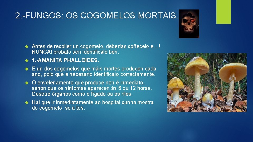 2. -FUNGOS: OS COGOMELOS MORTAIS. Antes de recoller un cogomelo, deberías coñecelo e…! NUNCA!
