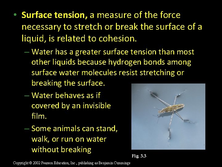  • Surface tension, a measure of the force necessary to stretch or break