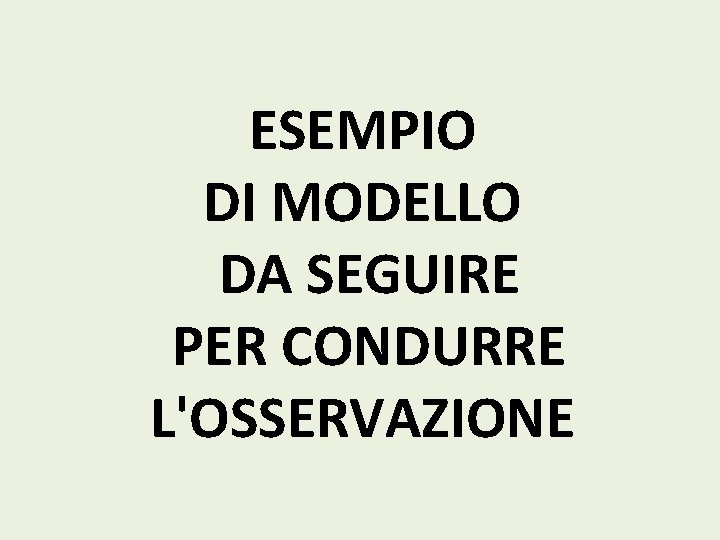 ESEMPIO DI MODELLO DA SEGUIRE PER CONDURRE L'OSSERVAZIONE 