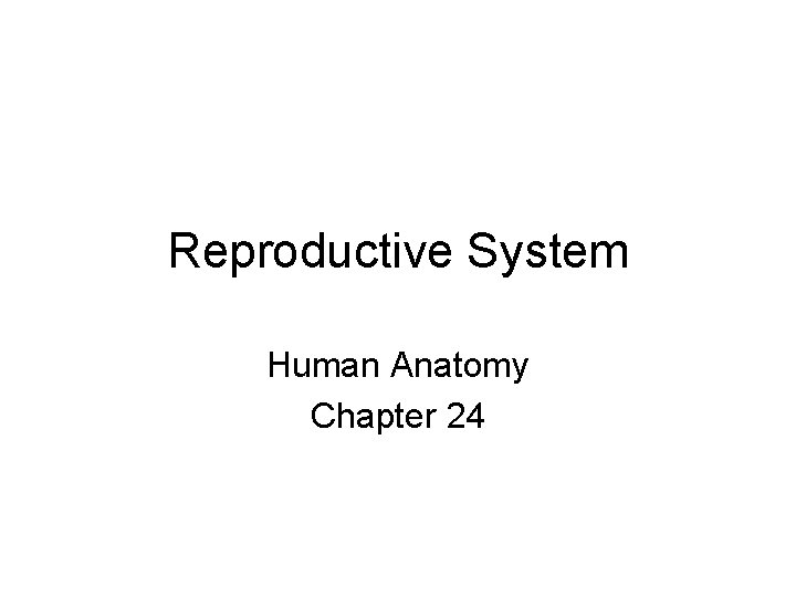 Reproductive System Human Anatomy Chapter 24 