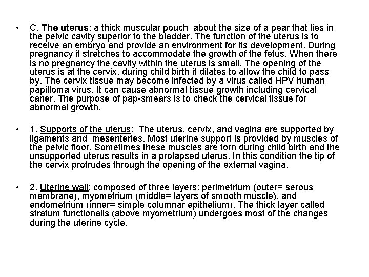  • C. The uterus: a thick muscular pouch about the size of a