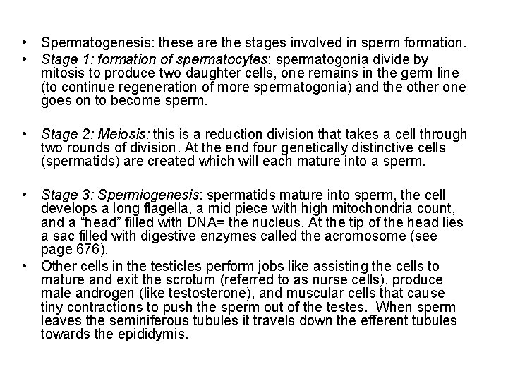  • Spermatogenesis: these are the stages involved in sperm formation. • Stage 1: