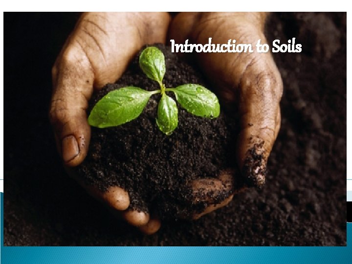 Introduction to Soils 