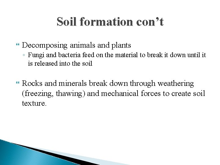 Soil formation con’t Decomposing animals and plants ◦ Fungi and bacteria feed on the