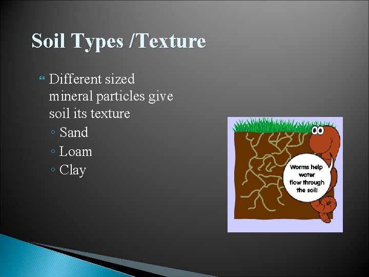 Soil Types /Texture Different sized mineral particles give soil its texture ◦ Sand ◦