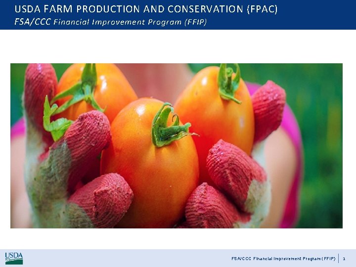 USDA FARM PRODUCTION AND CONSERVATION (FPAC) FSA/CCC Financial Improvement Program (FFIP) 1 