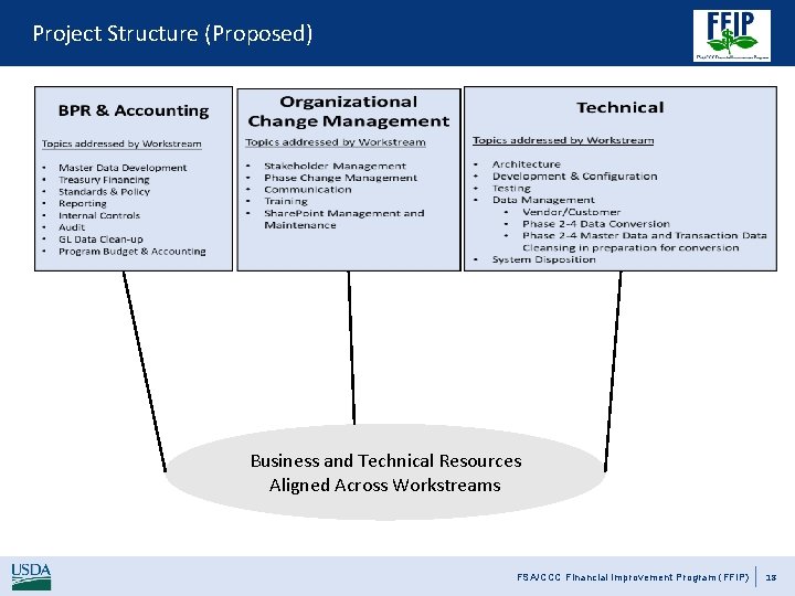 Project Structure (Proposed) Business and Technical Resources Aligned Across Workstreams FSA/CCC Financial Improvement Program