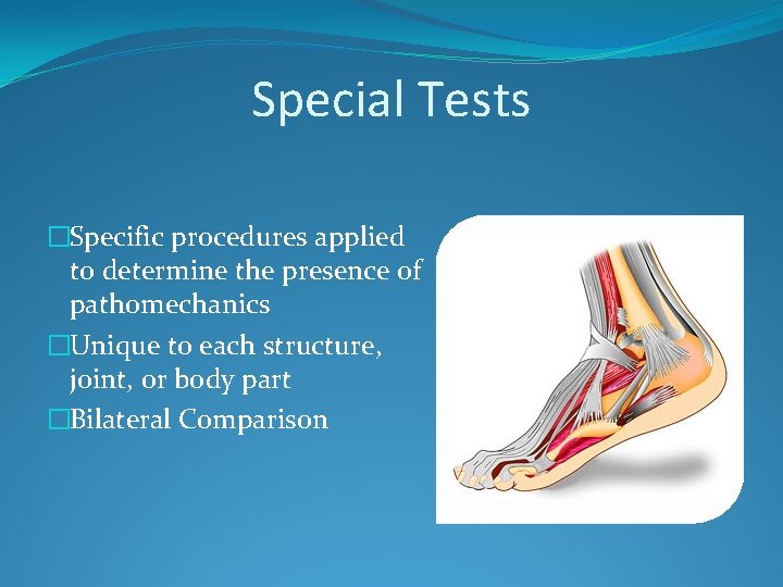 Special Tests �Specific procedures applied to determine the presence of pathomechanics �Unique to each