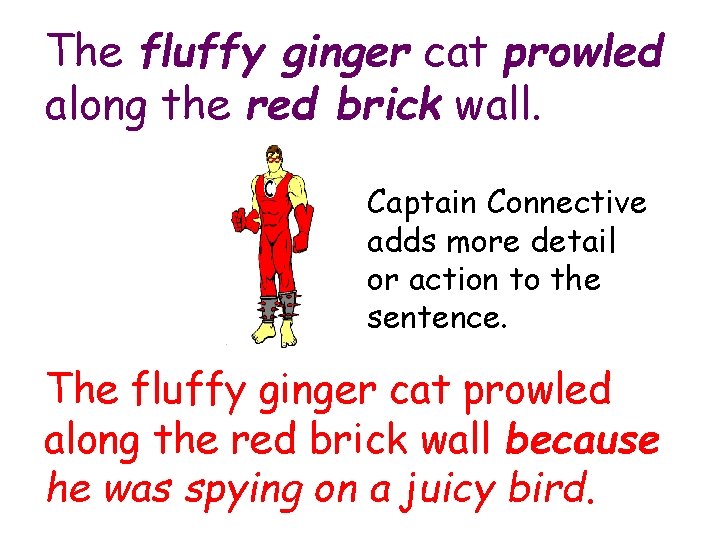 The fluffy ginger cat prowled along the red brick wall. Captain Connective adds more