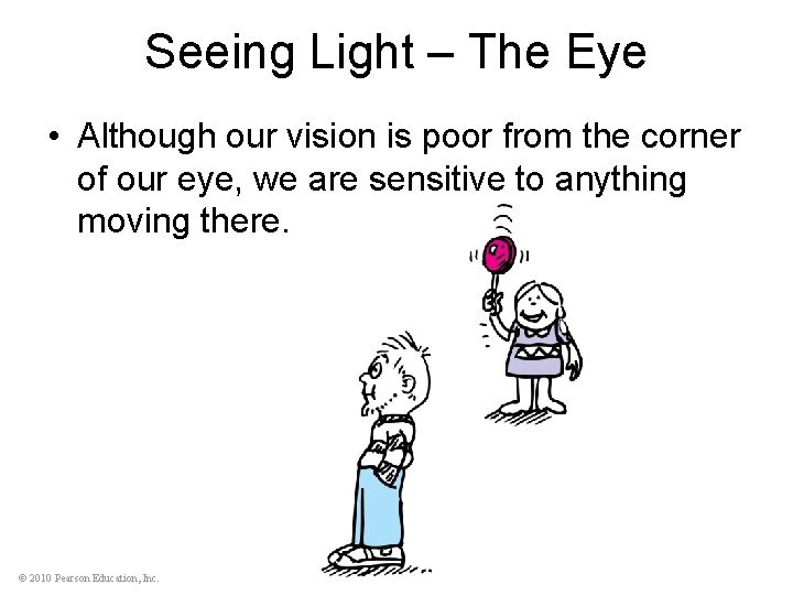 Seeing Light – The Eye • Although our vision is poor from the corner