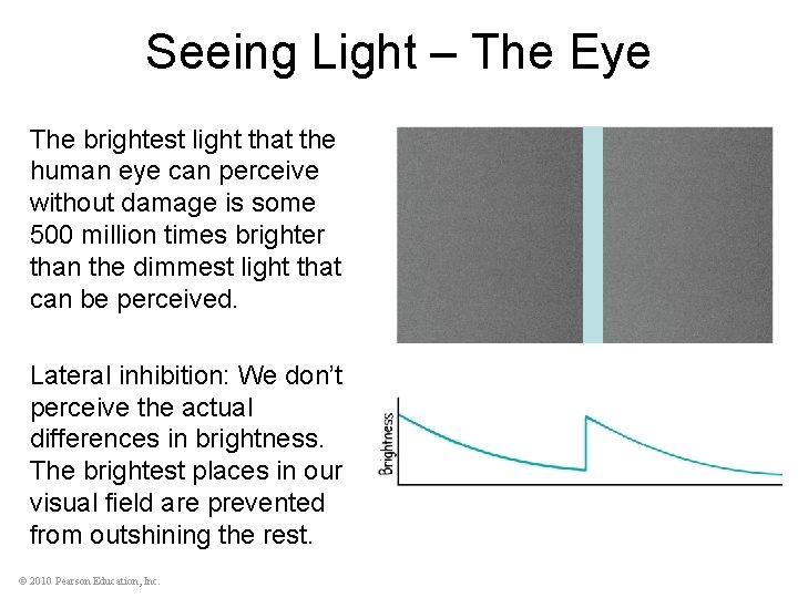 Seeing Light – The Eye The brightest light that the human eye can perceive