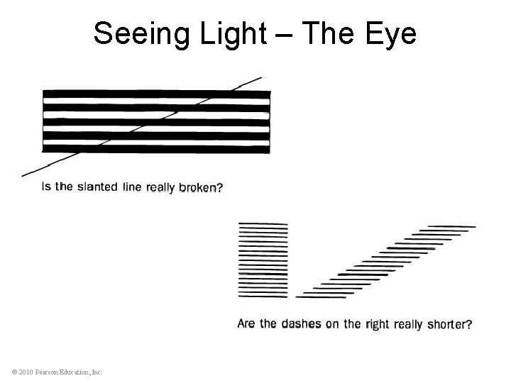 Seeing Light – The Eye © 2010 Pearson Education, Inc. 