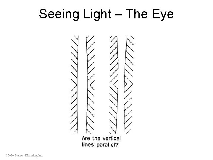 Seeing Light – The Eye © 2010 Pearson Education, Inc. 