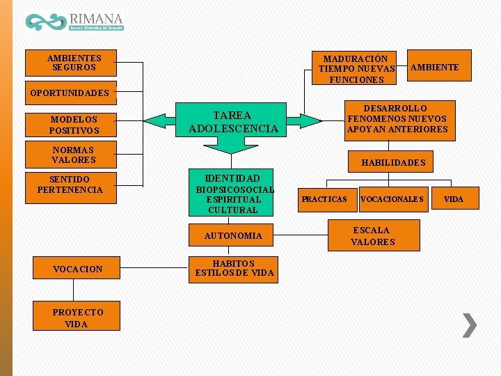 AMBIENTES SEGUROS MADURACIÓN TIEMPO NUEVAS FUNCIONES AMBIENTE OPORTUNIDADES MODELOS POSITIVOS DESARROLLO FENOMENOS NUEVOS APOYAN