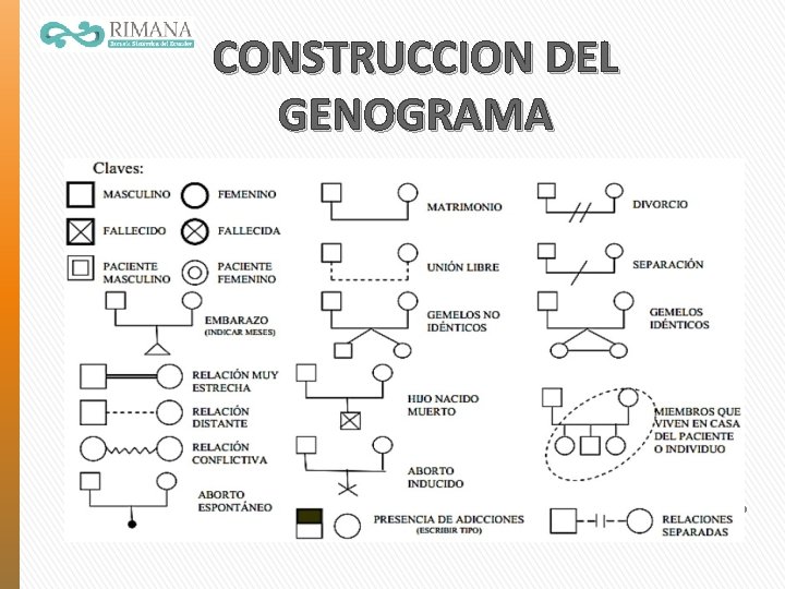 CONSTRUCCION DEL GENOGRAMA 