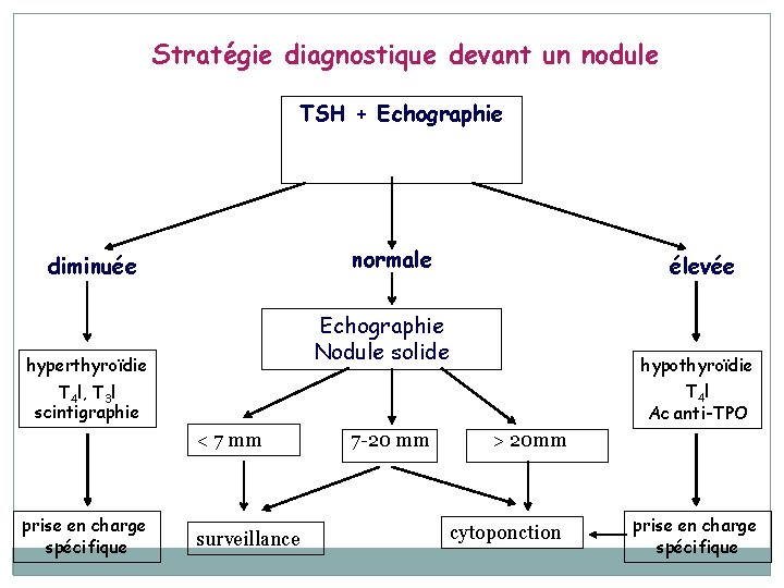 Stratégie diagnostique devant un nodule TSH + Echographie normale diminuée élevée Echographie Nodule solide