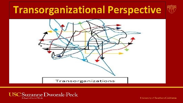 Transorganizational Perspective Transorganizational Perspective